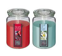 Well Home Set de 2 Velas Perfumadas (Flor de tiare + Frutos rojos) de 510g en recipiente de cristal Ø10 x H.14,5cm