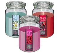 Well Home Set de 3 Velas Perfumadas (Flor de tiare + Frutos rojos + Frambuesa) de 510g en recipiente de cristal Ø10 x H.14,5cm
