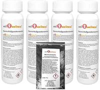 Well2wellness Sauna de Infusión para Sauna 4 X 125ML 'Navidad 1' con Picante Naranja, Türk. Miel, Pfeffernuss, Gletscher + Gratis 10G Cristales de Mentol