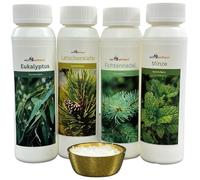 Well2wellness ® Set Esencias Sauna 4 X 125ML 'Clásico 1' con Eucalipto, Pino, Menta, Aguja Del Pino + Gratis 10g Mentol