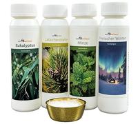 Well2wellness ® Set Esencias Sauna 4 X 125ML 'Clásico 2' con Eucalipto, Pino, Menta, Invierno Finlandes, + Gratis 10g Mentol
