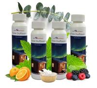 Well2wellness ® Set Esencias Sauna 4 X 125ML ' Fruta 1' con,Naranja, Lemongras, Casís, Hielo Cal + Gratis 10g Mentol
