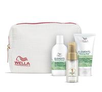 Wella Professionals Elements Kit de viaje - Cuidado natural calmante para el cabello y el cuero cabelludo - Juego de champú de 100 ml, máscara para el cabello de 75 ml y 30 ml de aceite para el