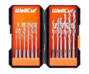 WELLCUT WC-HSS12HU Juego de 12 piezas, acero de alta velocidad de 2-6,5 mm, brocas de cambio rápido, vástago hexagonal de 0,63 cm