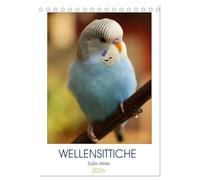 WELLENSITTICHE - Süße Wellis (Tischkalender 2026 DIN A5 hoch), CALVENDO Monatskalender: Ein neues Jahr - ein neuer Kalender! Für ... Motiven prachtvoller Wellensittiche!