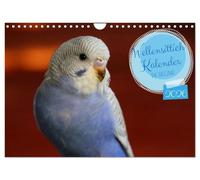 Wellensittichkalender! - Das Original (Wandkalender 2026 DIN A4 quer), CALVENDO Monatskalender: Dieser hochwertige Wandschmuck ist das ideale Geschenk ... nur zwischendurch verschenken möchten.