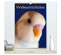 Wellensittichküken (hochwertiger Premium Wandkalender 2026 DIN A2 hoch), Kunstdruck in Hochglanz: 12 niedliche Welliküken lassen das Herz eines jeden ... höher schlagen! Das ideale Geschenk!