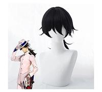WELLHY Cosplay Peluca Juego Fate Grand Order Cosplay Pelucas Ryouma Sakamoto Cosplay Peluca sintética Cabello Halloween Carnival Party Anime Cosplay Peluca for Coser