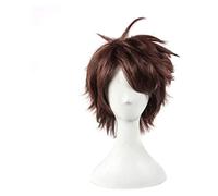 WELLHY High Volleyball Oikawa Tooru Short Brown Shaggy Layered Cosplay Peluca KEEBON (Color : As pictrue Showed Size : L:35cm) Coser Wig (Color : As pictrue Showed Size : L:35cm)
