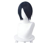 WELLHY Peluca de Cosplay Kaguya-sama Love is War Yuu Ishigami, Peluca de Cosplay, Pelucas de Cosplay Rectas Azules Cortas, Pelo sintético Resistente al Calor for Coser