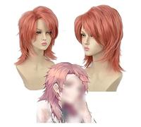 WELLHY Peluca de cosplay Peluca de anime Cosplay Pelucas Demon Slayer Kimetsu No Yaiba Sabito Pelucas for Halloween Peluca de pelo sintético resistente al calor Sin enredos Sin derramamiento for Coser