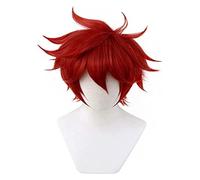 WELLHY SK8 The Reki Kyan Anime Cosplay Peluca (Rojo) Coser Peluca