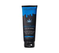 WELLNESS PREMIUM PRODUCTS Wellplex Color Fresh Mask Hair | Color Mask Hair | Color Mascarilla para el pelo | Azul | 250 ml
