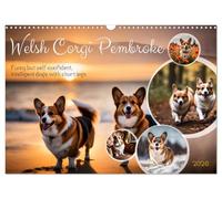 Welsh Corgi Pembroke (Wall Calendar 2026 DIN A3 landscape), CALVENDO 12 Month Wall Calendar: Funny but self-confident, intelligent dogs with short legs