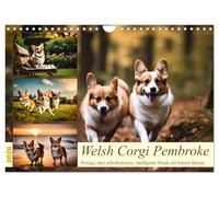 Welsh Corgi Pembroke (Wandkalender 2026 DIN A4 quer), CALVENDO Monatskalender: Witzige, aber selbstbewusste, intelligente Hunde mit kurzen Beinen