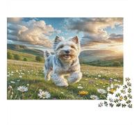 Welsh Terrier Rompecabezas de Papel Westie Corriendo en Prado de Margaritas, Juego de Relleno de Calcetín Divertido Familiar 52x38cm/1000 Piezas