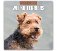Welsh Terriers 2026 Square Wall Calendar: Original Red Robin Publishing Ltd-Kalender [Mehrsprachig] [Kalender]