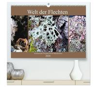 Welt der Flechten (hochwertiger Premium Wandkalender 2026 DIN A2 quer), Kunstdruck in Hochglanz: Die Vielfalt von Farben und abstrakten Formen dieser ... Kleine Wunder, die es zu entdecken gilt.