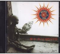 Wendy and Lisa - Remix In Carnation