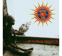 Wendy & Lisa - Re-Mix-in-a-Carnation