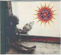 Wendy & Lisa - RE-mix-IN-a-CARNATION (UK Import)