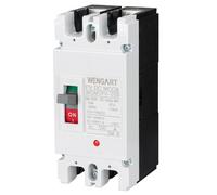Wengart Disyuntor Caja Moldeada MCCB DC 500V, 150A 2P, Interruptor Automático de Gran Capacidad para Sistemas Solares Fotovoltaicos y Bancos de Baterías, Protección Térmica y Magnética, WGM1PV-250