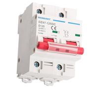 Wengart Disyuntor de CC 125A 2P 500V, Interruptor Automático Magnetotérmico para Paneles Solares y Protección de Baterías de Litio, Protección Fotovoltaica para Carril DIN, Serie DZ47-125DC