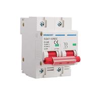 Wengart Interruptor Automático en Miniatura de 2P DC,500V D100A Montaje en carril DIN, que proporciona protección del circuito de CC