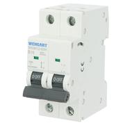 Wengart Magnetotérmico 16A 2 Polos (2P),Curva B (B-Char), Poder de Corte 10kA, Interruptor Automático MCB para Protección de Electrónica Sensible y Circuitos de Iluminación, Carril DIN 36mm,WGM12-63H