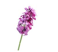 WENH 10 Piezas de Flores Artificiales de Seda de Jacinto for arreglos de Bodas, guía de Caminos, Flores de Delphinium Falsas, decoración de la habitación del hogar(Black Heart Wine Red)