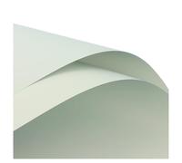 WENH 20 piezas de papel for envolver flores, ramo de Color sólido, paquete Floral, materiales de floristería DIY(30)