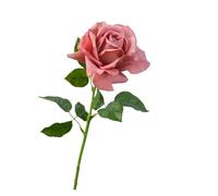 WENH 5 uds. De Rosas Artificiales hidratantes, Rosas de Tacto Real, decoración de Lujo for el hogar, Ramo de San Valentín, Decoraciones Florales for Boda(Brown Pink)