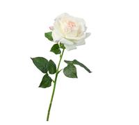 WENH 5 uds. De Rosas Artificiales hidratantes, Rosas de Tacto Real, decoración de Lujo for el hogar, Ramo de San Valentín, Decoraciones Florales for Boda(Milk Pink)