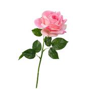 WENH 5 uds. De Rosas Artificiales hidratantes, Rosas de Tacto Real, decoración de Lujo for el hogar, Ramo de San Valentín, Decoraciones Florales for Boda(Dark Pink)