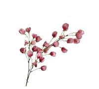 WENH Linterna de Flores Artificiales for decoración del hogar, Sala de Estar, Fondo de Boda, arreglo de Flores Colgantes, 5 uds.(Bean Paste)