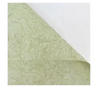 WENH Papel De Regalo Arrugado De Doble Capa, Engrosado, Monocromático, Regalo De Bricolaje, Un Paquete De Cinco, 23.2x23.2in(Peppermint green)