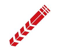 WENINETIES Pegatinas Moto para Ducati Panigale 1199 899 v2 v4 v4s 1260/s 1200, Impermeable Protector Antiarrugas Reflectante Vinilos Decorativos,Red