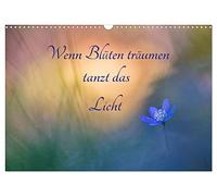 Wenn Blüten träumen tanzt das Licht (Wandkalender 2026 DIN A3 quer), CALVENDO Monatskalender: Zauberhafte Begegnungen mit zarten Blüten und traumhaften Lichtsituationen.
