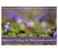 Wenn im Frühling die Natur wieder erwacht (Tischkalender 2026 DIN A5 quer), CALVENDO Monatskalender: Der Frühling ist der Beginn von etwas ganz Großem.