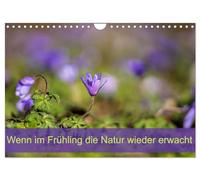 Wenn im Frühling die Natur wieder erwacht (Wandkalender 2026 DIN A4 quer), CALVENDO Monatskalender: Der Frühling ist der Beginn von etwas ganz Großem.