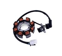 Wenqu Bobina Estator Generador Bicicleta Motocicleta Magneto 8 Polos para Lindy 125 para UM125 para LINDY125R para Lindy para 125cc HJ125T-18 Estator Bobina