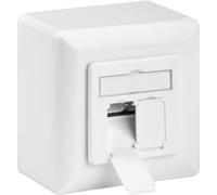 Wentronic 68244 - caja universal cat 6 con marco de montaje uncluido,