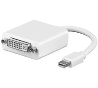 Wentronic - Adaptador de de Mini DisplayPort a DVI-D, Color Blanco