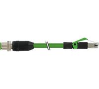 Wentronic - Conector M12 (conectores RJ45, apantallado, Ethernet)