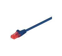 Wentronic Goobay Cat 6-100 UTP Blue 1m Azul - Cable de Red (1 m, RJ-45, RJ-45, Azul)