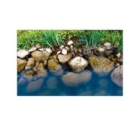 WENYOG Fondo de Acuario Póster de Fondo for Acuario con Efecto 3D Roca río y Papel Tapiz Autoadhesivo for pecera(41x61cm)