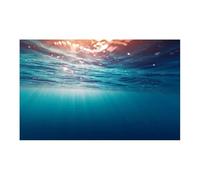 WEOKDFHA Fondo De Pecera Póster de Fondo Acuario 3D, Pegatina Adhesiva PVC, Tanque Peces, Mundo Submarino, telón, Plantas Marinas oceánicas para La Decoración De Peceras(Black,30x61cm)