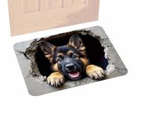 Weqizuerqi Alfombra 3D suave antideslizante de secado rápido con diseño de ardilla y perro, ilusión óptica 3D, para entrada, dormitorio, pasillos, hogar, vacaciones, Halloween, Acción de Gracias, Año