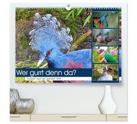 Wer gurrt denn da? (hochwertiger Premium Wandkalender 2026 DIN A2 quer), Kunstdruck in Hochglanz: Wunderschöne Tauben aus der ganzen Welt