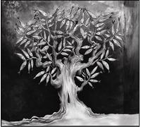 were onoff we - WHAT DOES A FISH THINK ABOUT WATER?